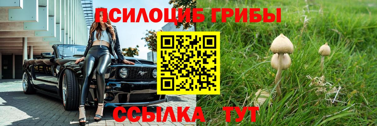Псилоцибиновые грибы Psilocybe  Вход с VPN  купить  цена  Галлюциногенные грибы мицелий  Солнечногорск 